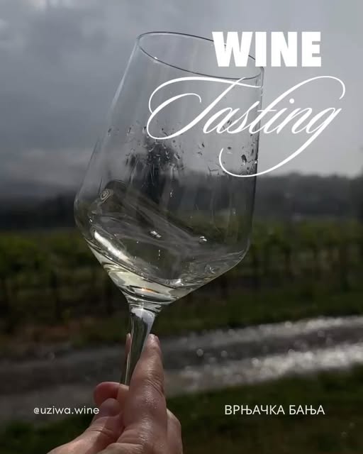 Čaša vina s pogledom na vinograd UZiWA