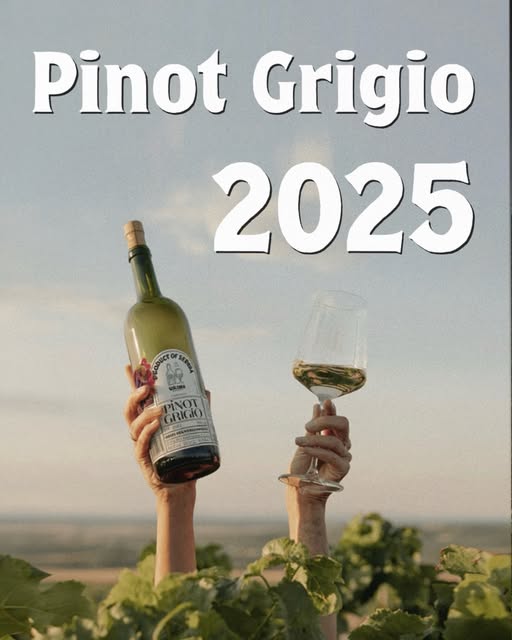 Pinot Grigio 2025 u vinogradu UZiWA