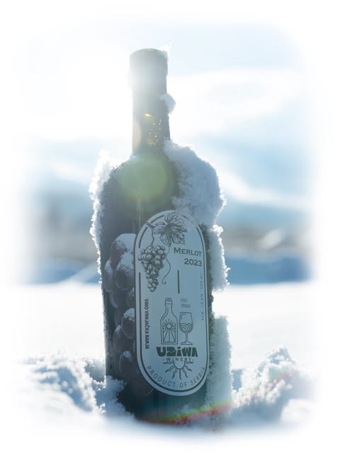 Boca UZiWA vina u zimskom ambijentu